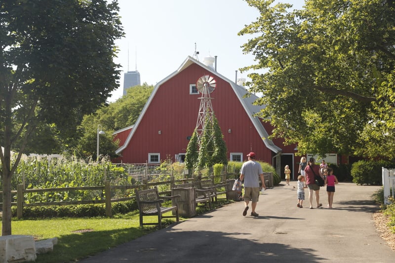 Farm in the Zoo