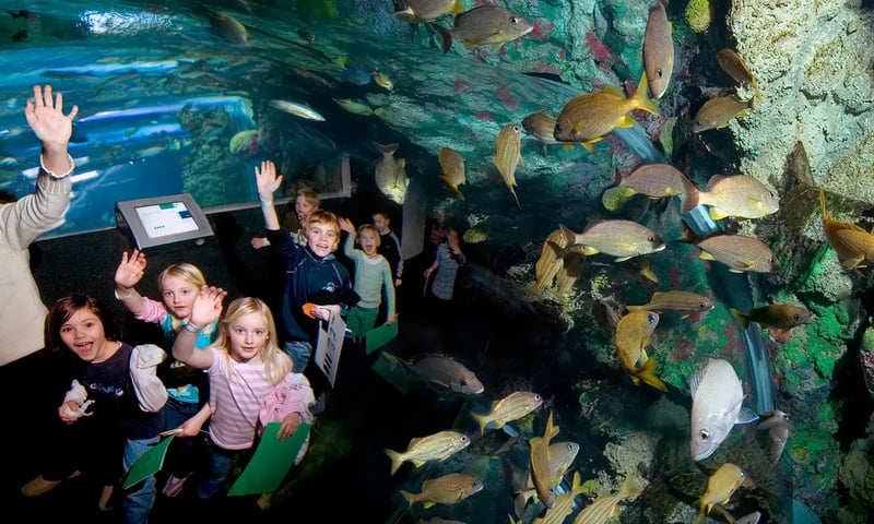 Discovery World's Reiman Aquarium
