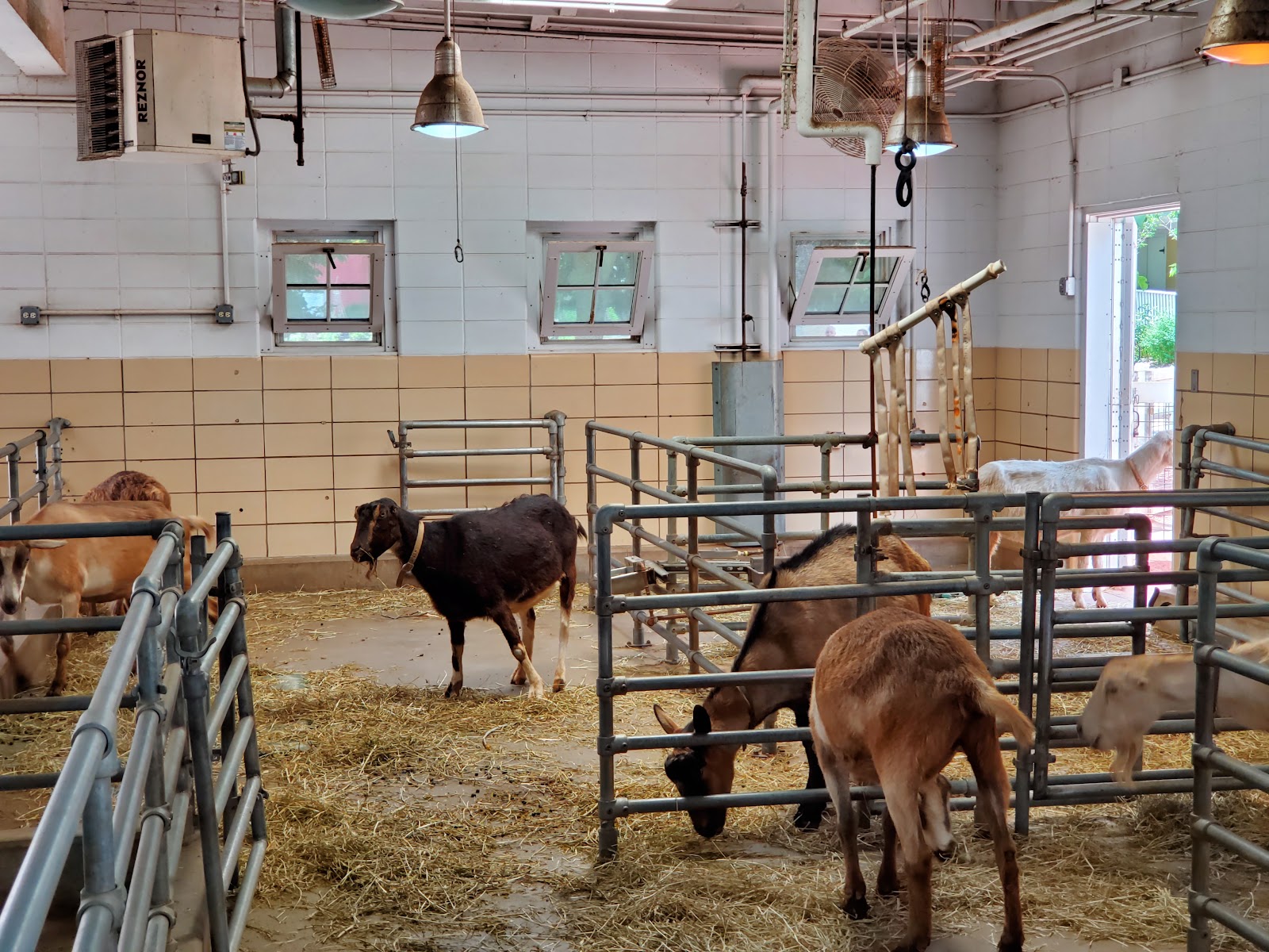 farm-in-the-zoo-5