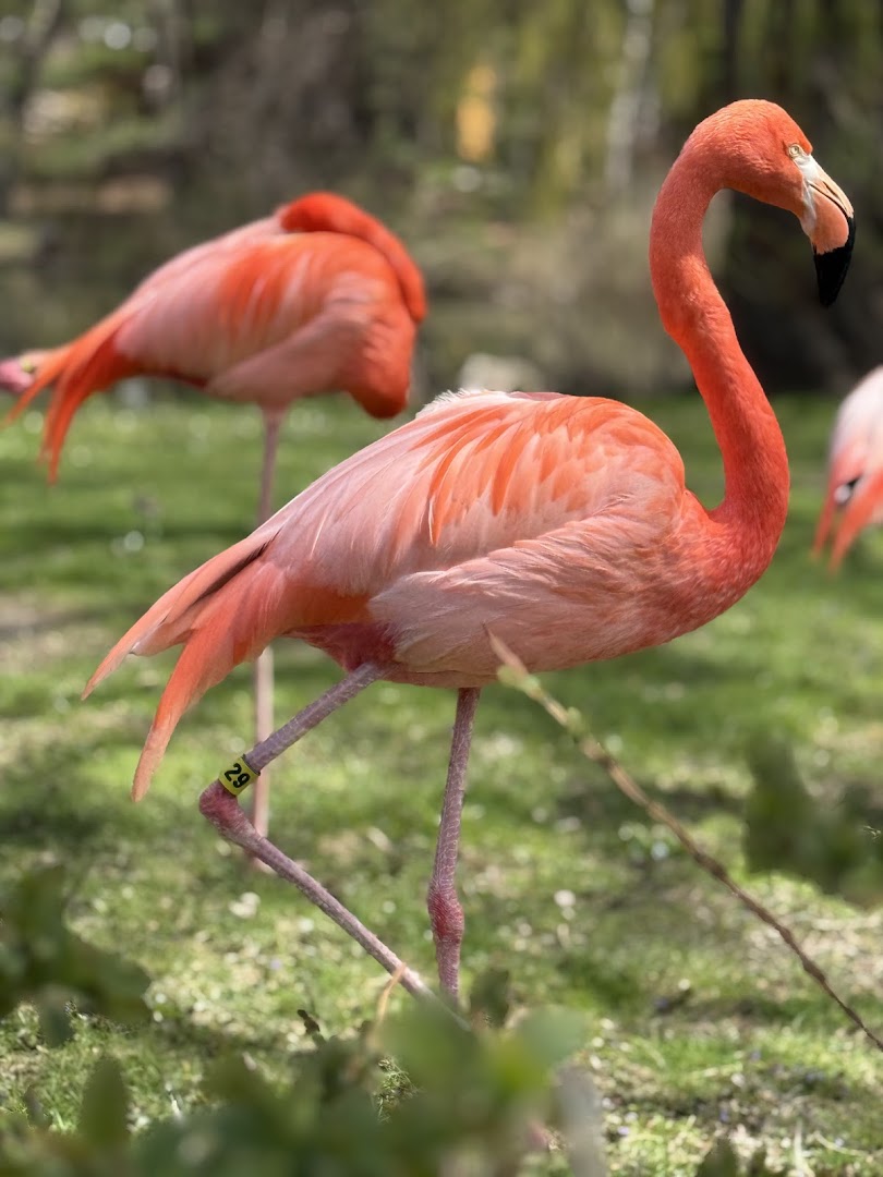 Milwaukee County Zoo 2