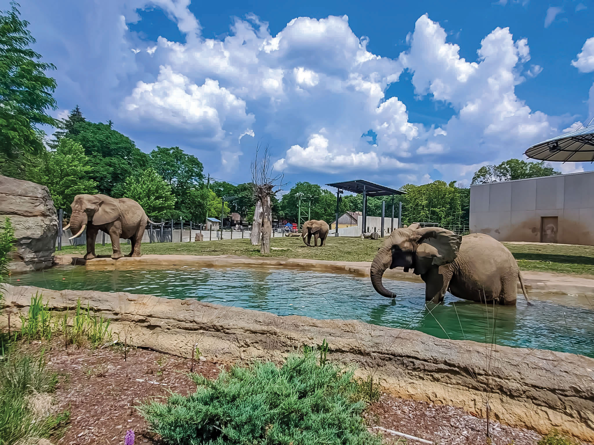 Milwaukee County Zoo 4