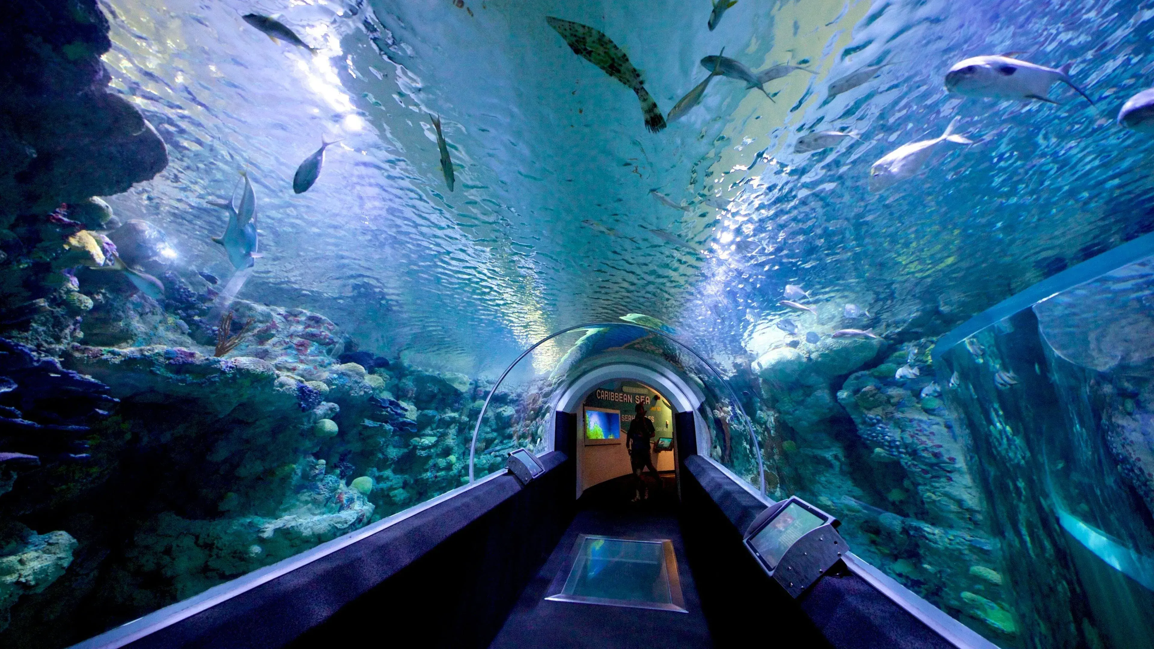 Discovery World_s Reiman Aquarium 4