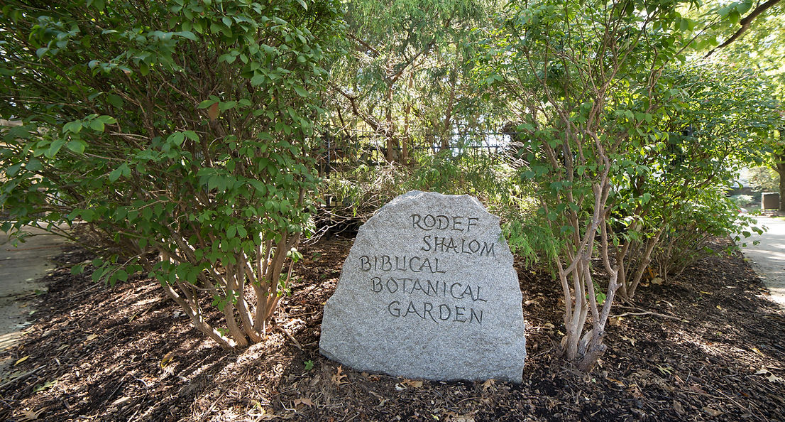 Rodef Shalom Biblical Botanical Garden 2