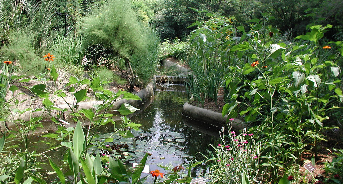Rodef Shalom Biblical Botanical Garden 3
